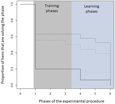 Brain gain—Is the cognitive performance of domestic hens affected by a functional polymorphism in the serotonin transporter gene?